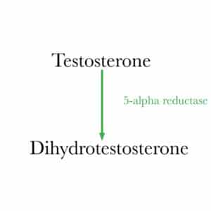 finasteride-diagram-1a