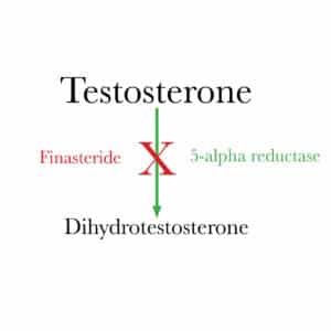 finasteride-diagram-2a