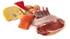 foods-with-protein